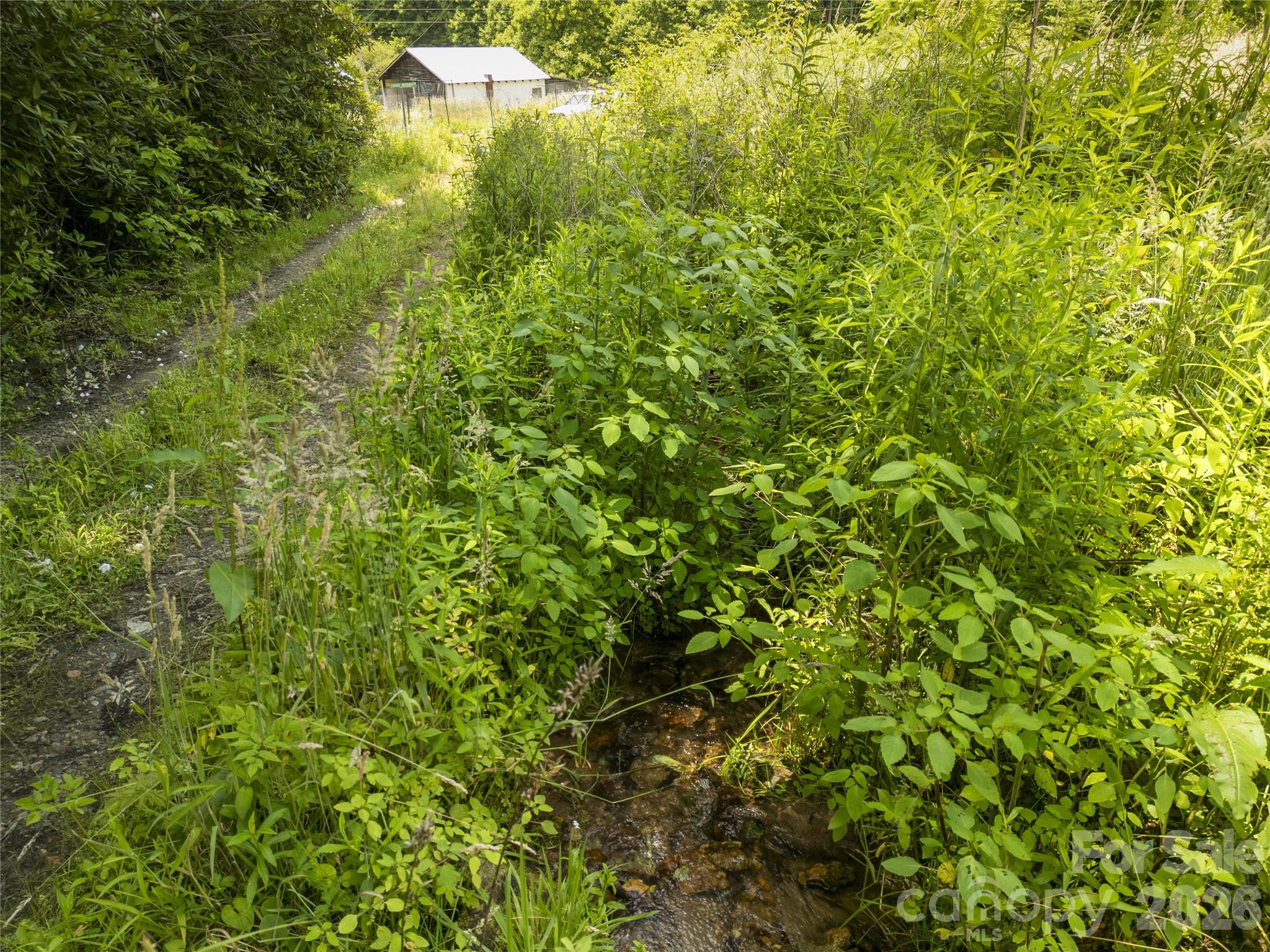 168 Smith Creek Road Mars Hill, NC 28754 - Photo 43 of 46
