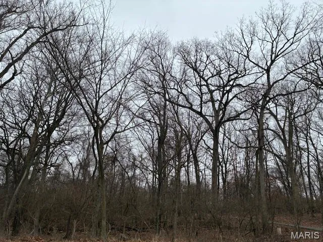 $10,000 | Lot36-blockf Red Bud Drive, Catawissa, MO 63015