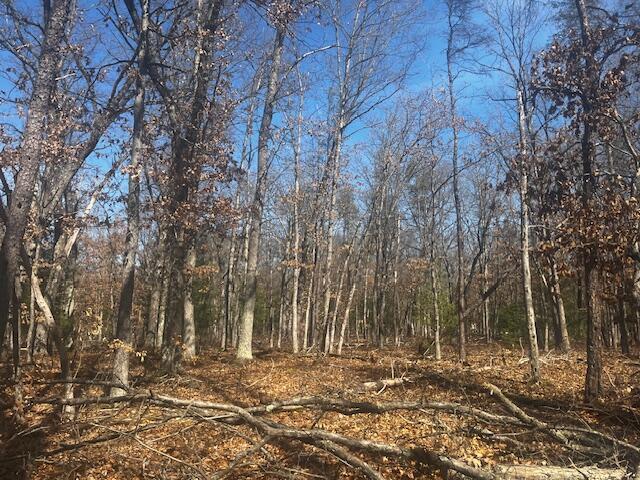 1899 South Reid Road Custer, MI 49405 - Photo 5 of 14 IMG_4295