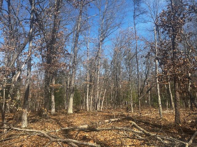 1899 South Reid Road Custer, MI 49405 - Photo 6 of 14 IMG_4296