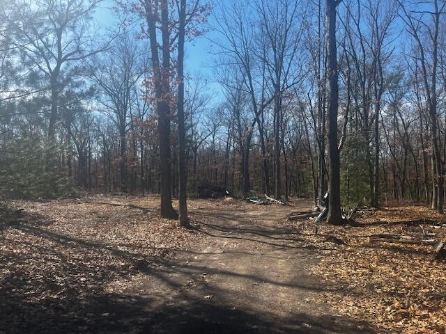 1899 South Reid Road Custer, MI 49405 - Photo 10 of 14 IMG_4301