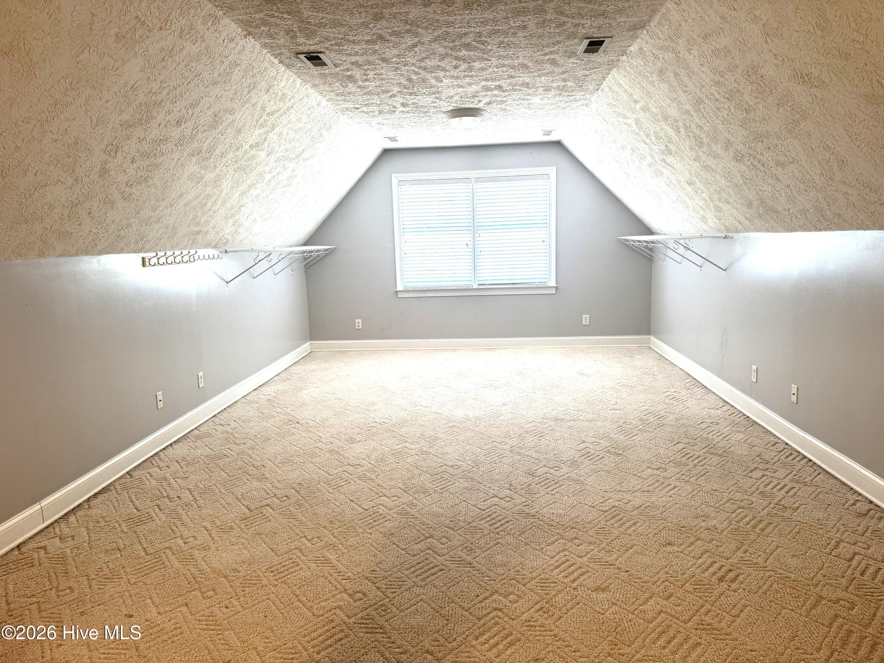 727 Mt Olive Road Bladenboro, NC 28320 - Photo 23 of 52