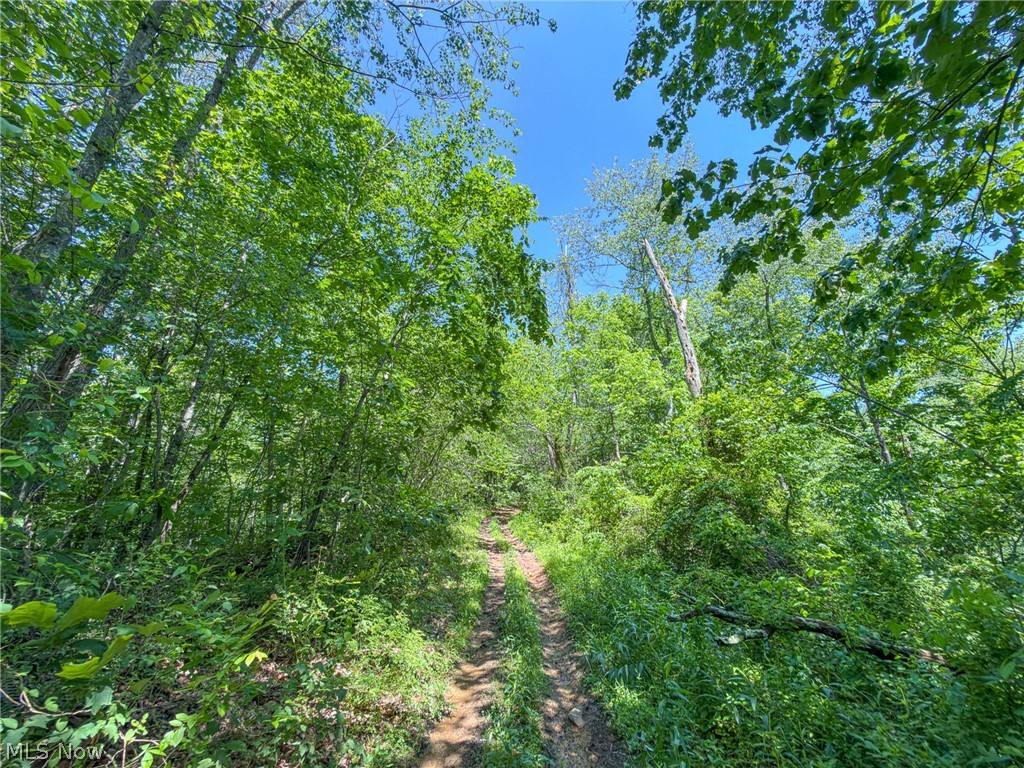 0 Twp Road Marietta, OH 45750 - Photo 22 of 50