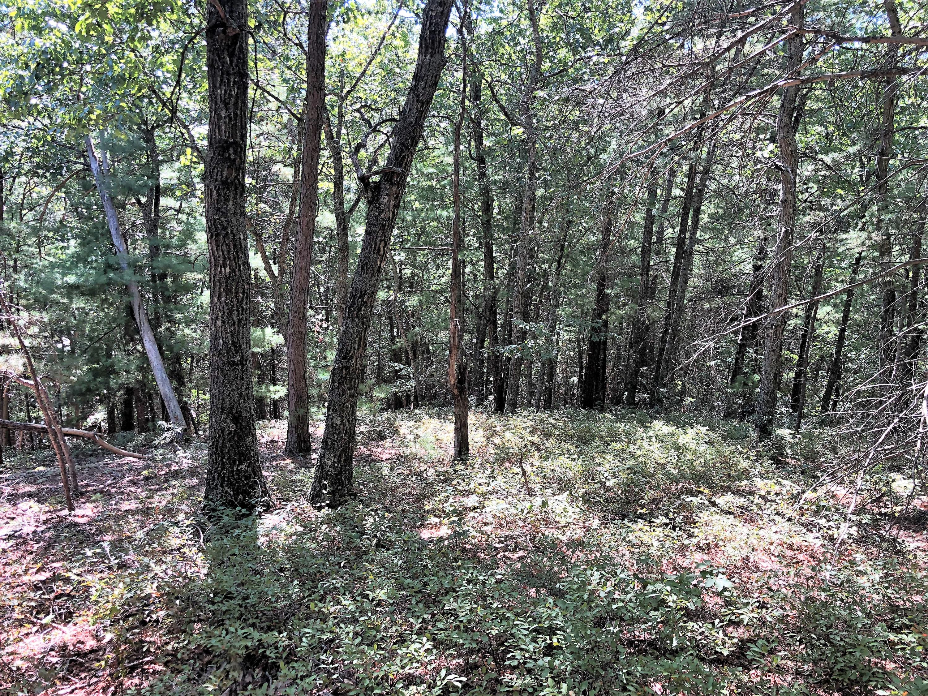0 Bells Valley Road Goshen, VA 24439 - Photo 3 of 8 3
