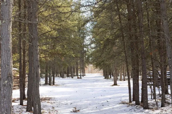 $390,000 | 32065 159th Avenue, Menahga, MN 56464