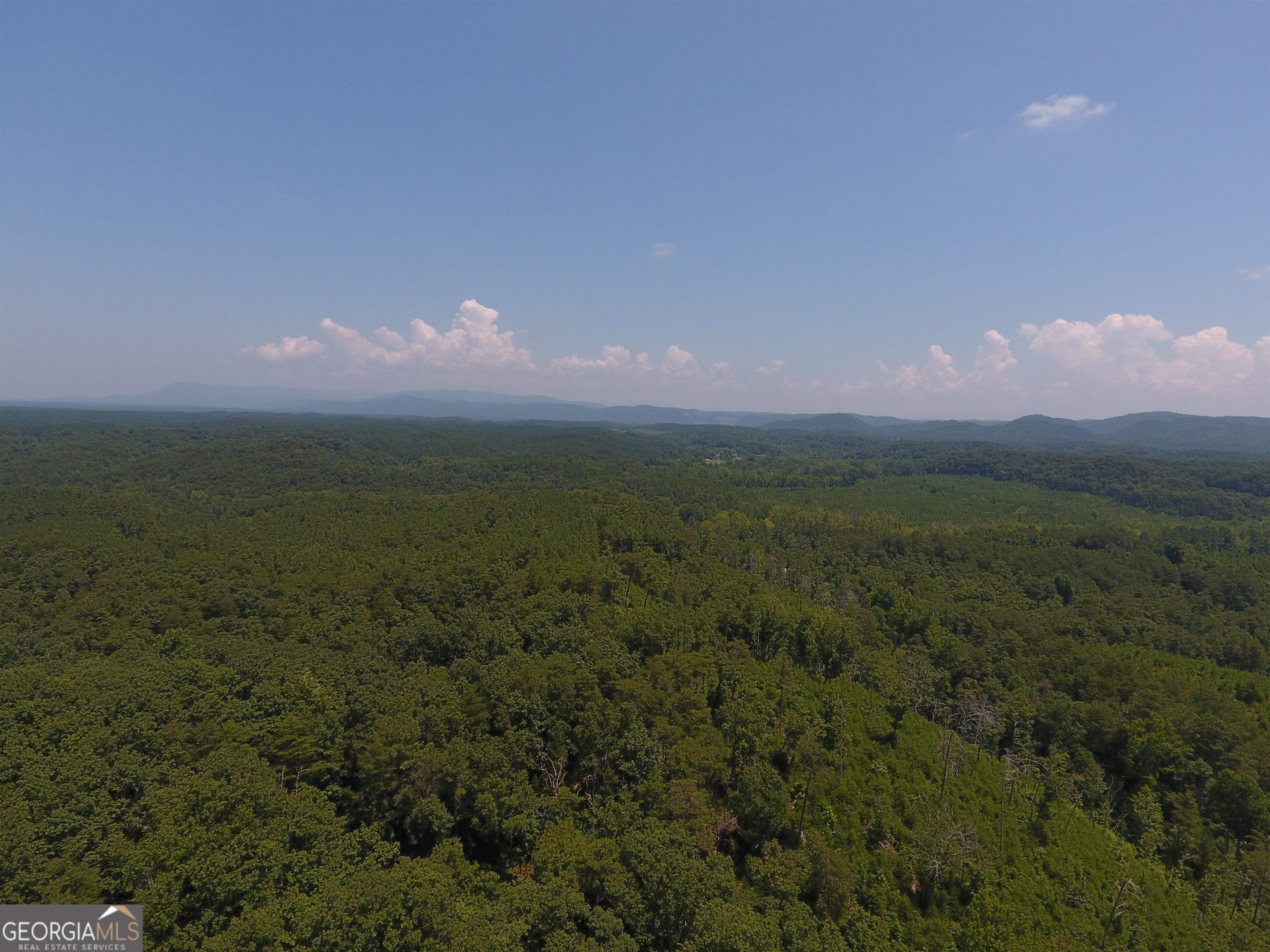 0 Pack Road Northeast, Unit 9628F Ranger, GA 30734 - Photo 21 of 38