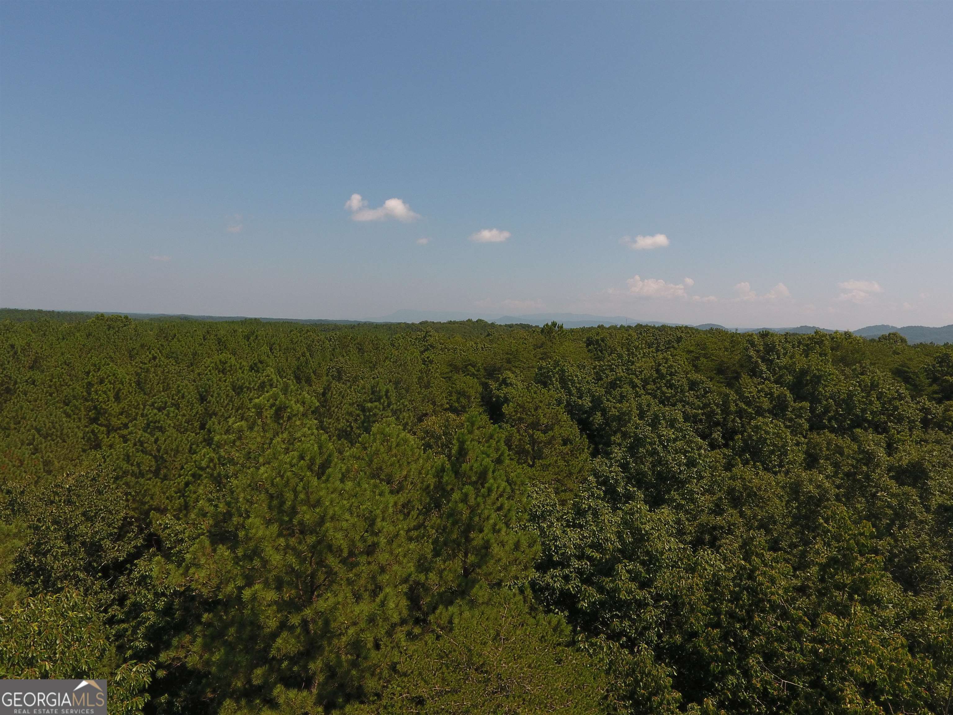 0 Pack Road Northeast, Unit 9628F Ranger, GA 30734 - Photo 4 of 38