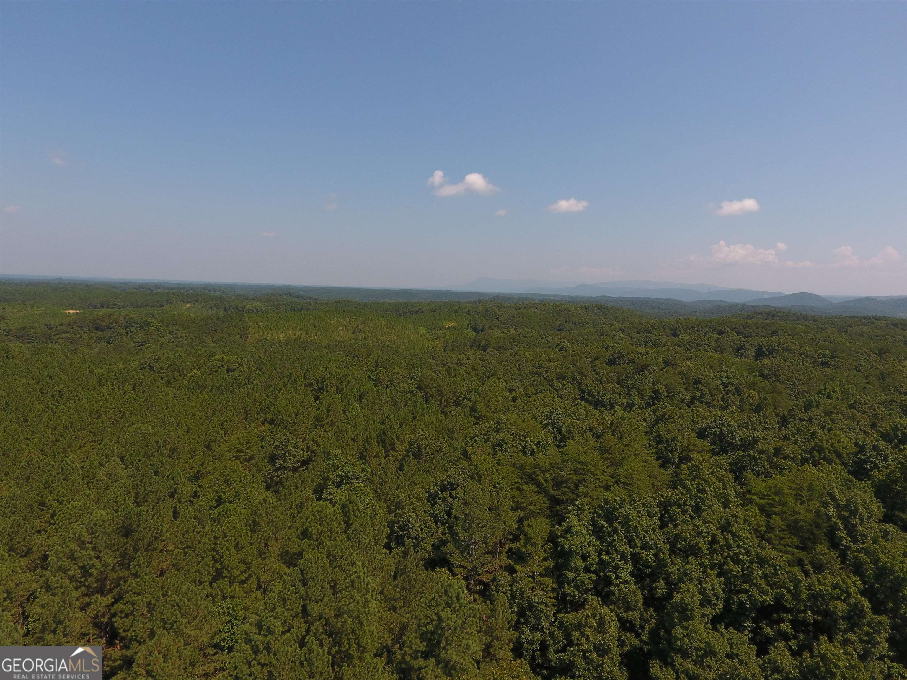 0 Pack Road Northeast, Unit 9628F Ranger, GA 30734 - Photo 5 of 38