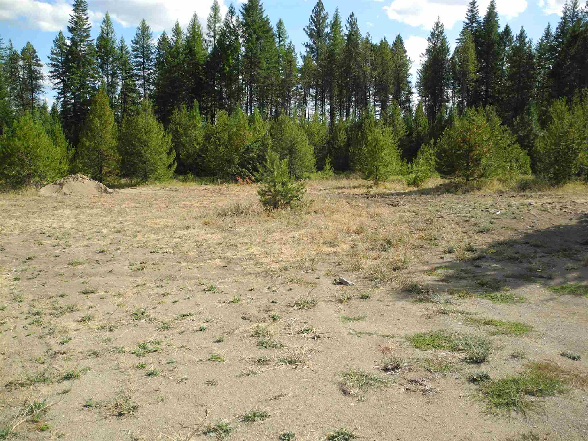 121 Stohr Road Newport, WA 99156 - Photo 7 of 7 Gallery Image 7
