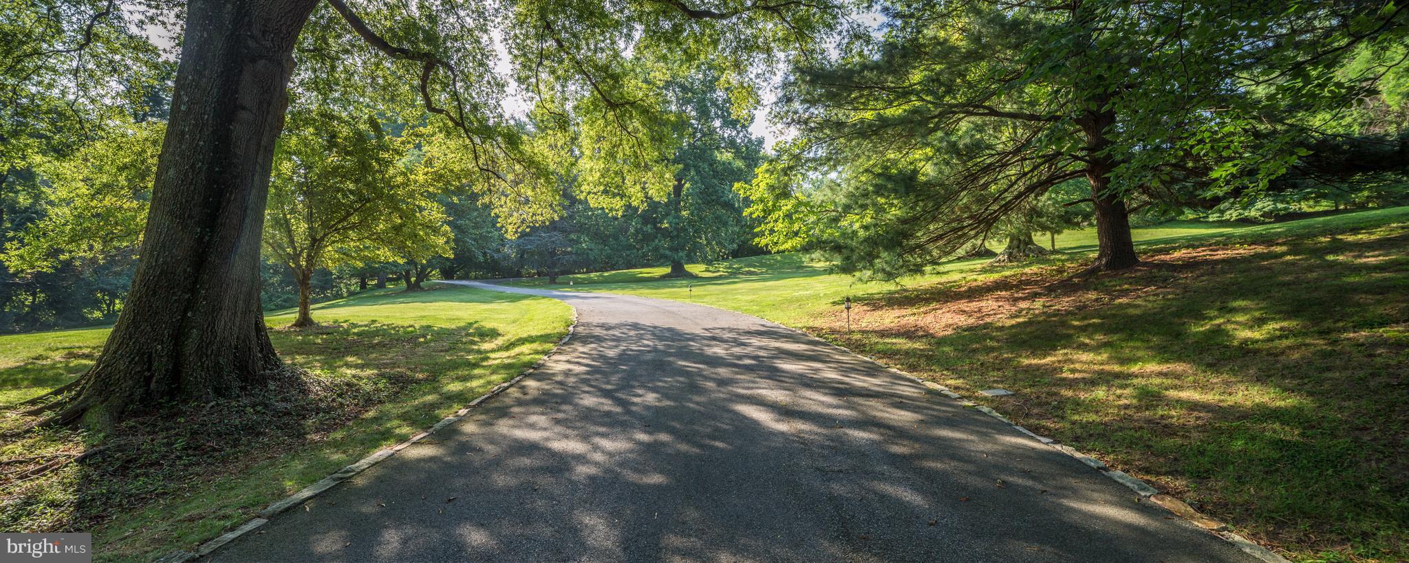 3408 Old Court Road Baltimore, MD 21208 - Photo 2 of 30 Mature Trees Accent The Landscape