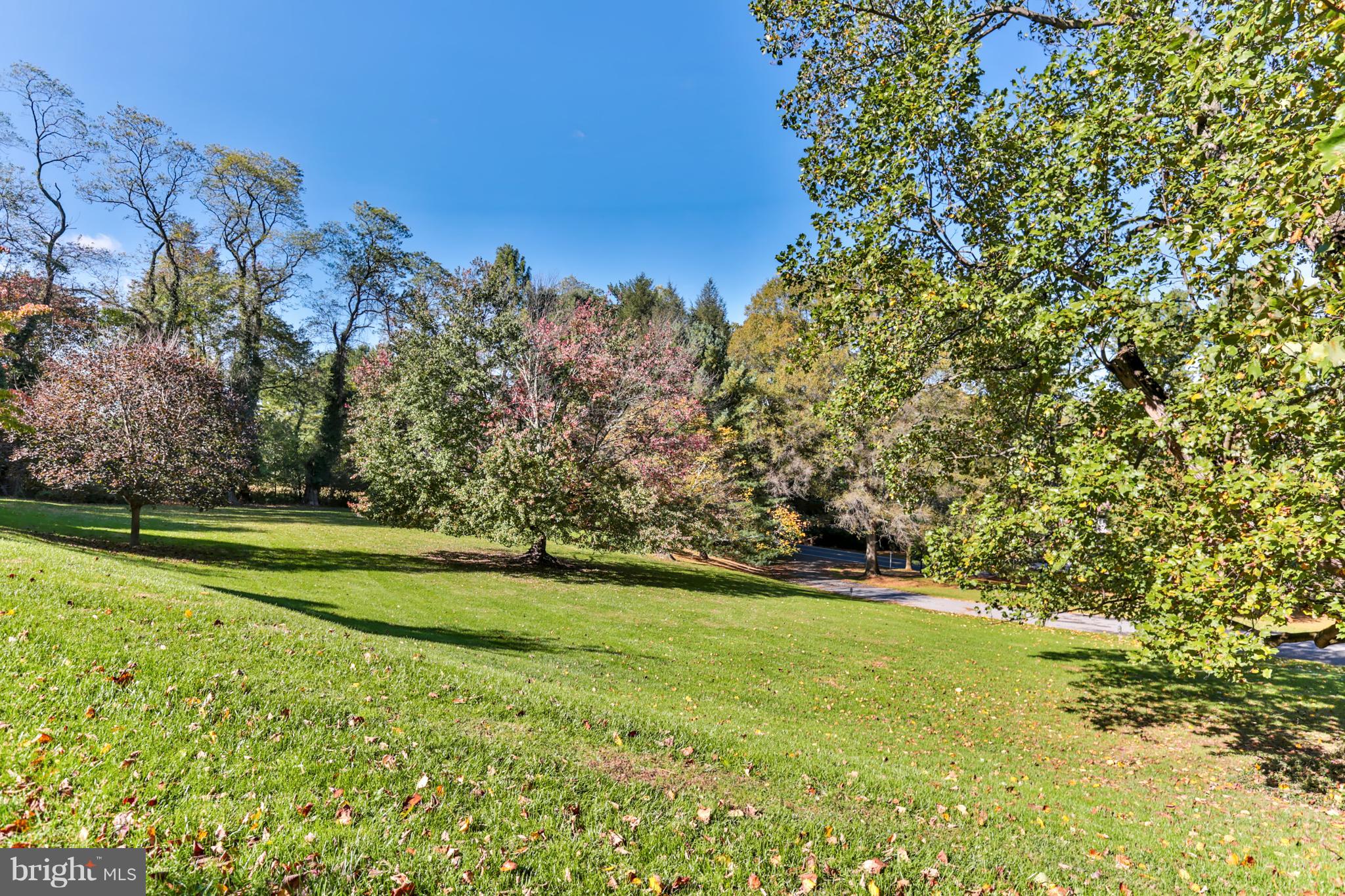 3408 Old Court Road Baltimore, MD 21208 - Photo 29 of 30 Perfect Outdoor Space Surrounded By Trees