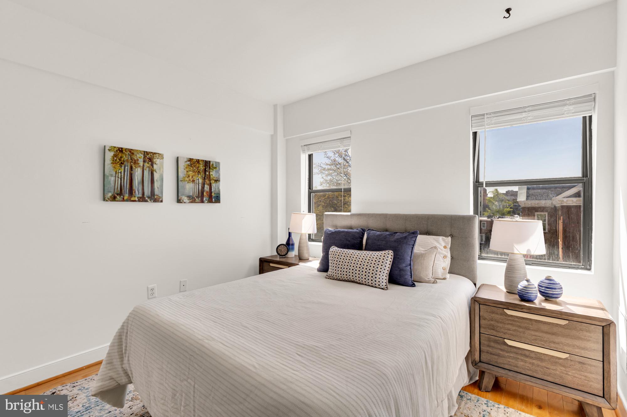1727 R Street Northwest, Unit 402 Washington, DC 20009 - Photo 25 of 35 Primary Bedroom with Double South Facing Windows