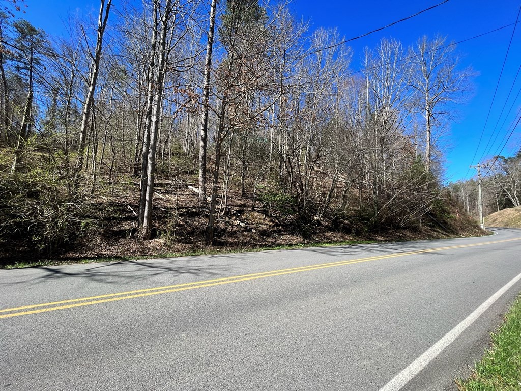 1314 Powdermill Road Gatlinburg, TN 37738 - Photo 6 of 9