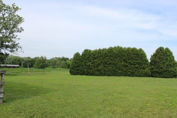500 Hadley Road Sunderland, MA 01375 - Photo 7 of 22 a view of field with tall trees