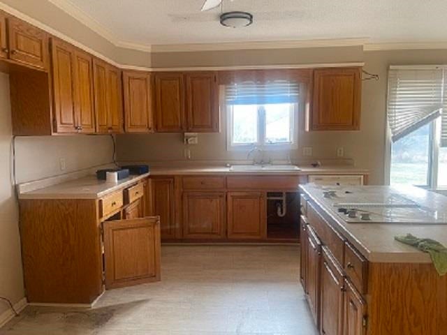 1651 Enzor Road Troy, AL 36079 - Photo 6 of 16 Gallery Image 6