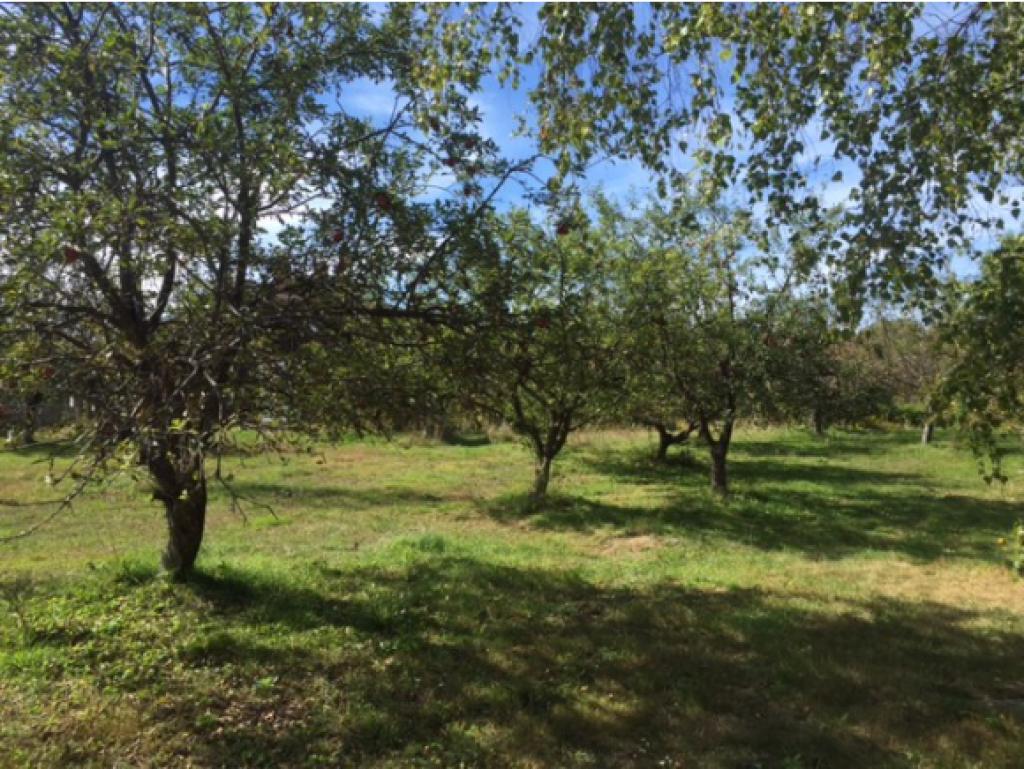 1075 Greenfield Road Francestown, NH 03043 - Photo 10 of 12