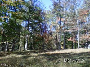 11230 Hebron Road St. Marys, WV 26170 - Photo 6 of 10