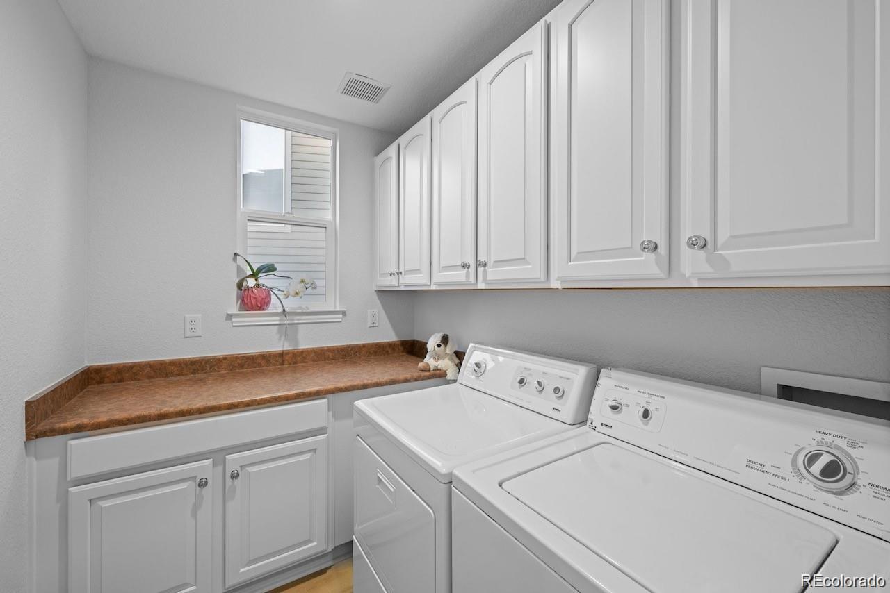 10837 Fox Sedge Way Highlands Ranch, CO 80126 - Photo 19 of 50