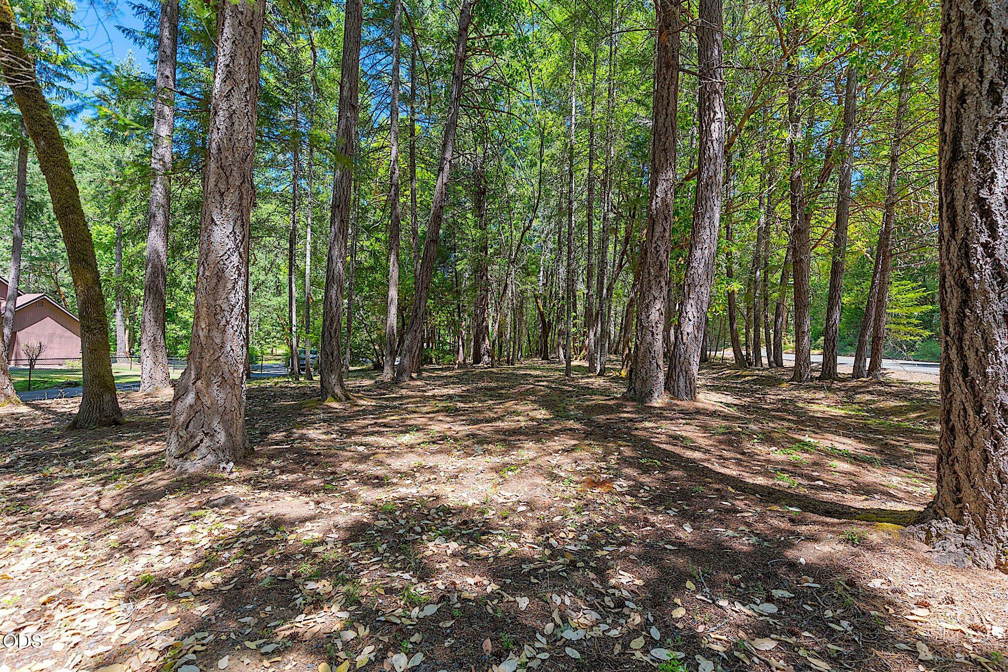 484 Round Prairie Road Wilderville, OR 97543 - Photo 66 of 77