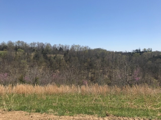 315 Central Ridge Road Mount Olivet, KY 41064 - Photo 6 of 11 Gallery Image 6