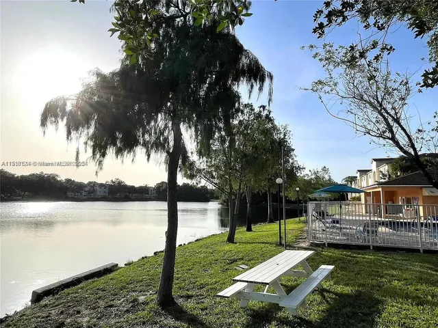 a view of a park with large trees