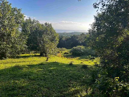 $780,000 | Lot F Hana Highway, Unit 3F, Hana, HI 96713