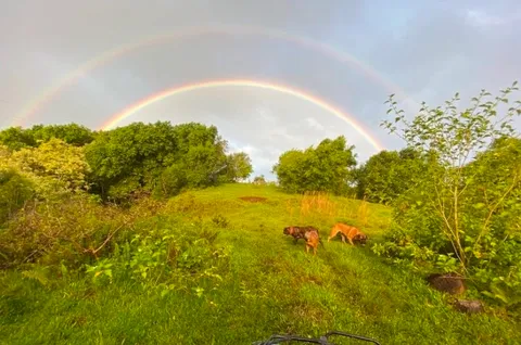 $780,000 | Lot F Hana Highway, Unit 3F, Hana, HI 96713