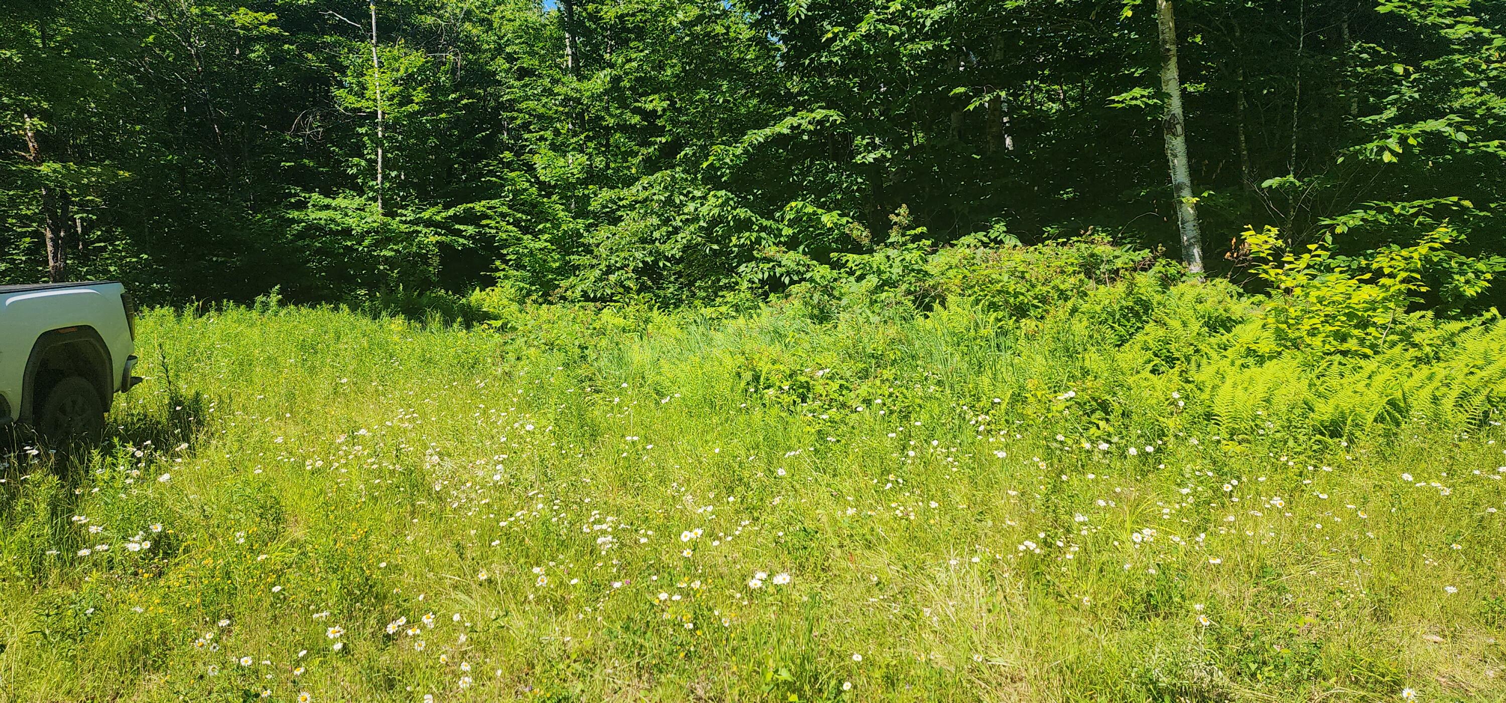 20.82-ac Sleeper Road Island Falls, ME 04747 - Photo 6 of 13 20240701_095739