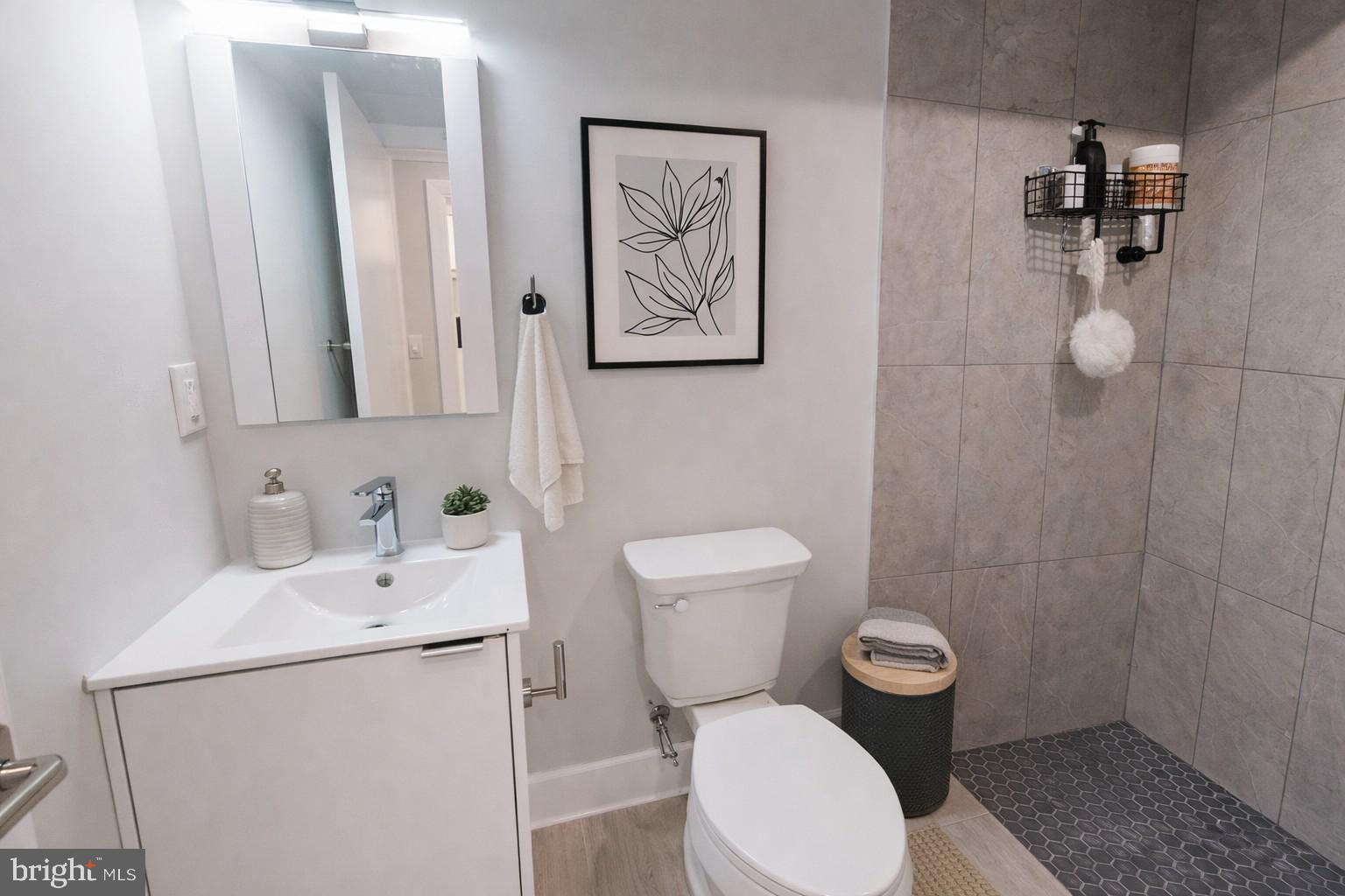 650 North 36th Street, Unit 1 Philadelphia, PA 19104 - Photo 11 of 15 a bathroom with a toilet a sink and mirror