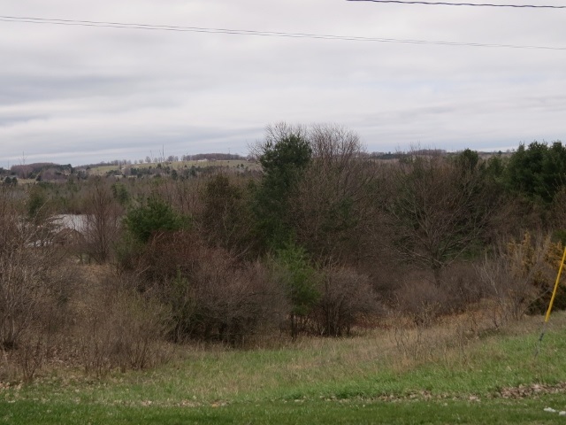 7113 Cottage Road Bellaire, MI 49615 - Photo 7 of 27 1798702-6.JPG