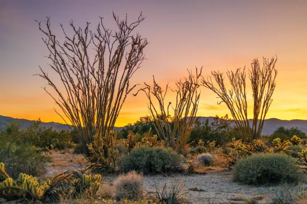 $349,000 | 3568 Borrego Springs Road, Borrego Springs, CA 92004