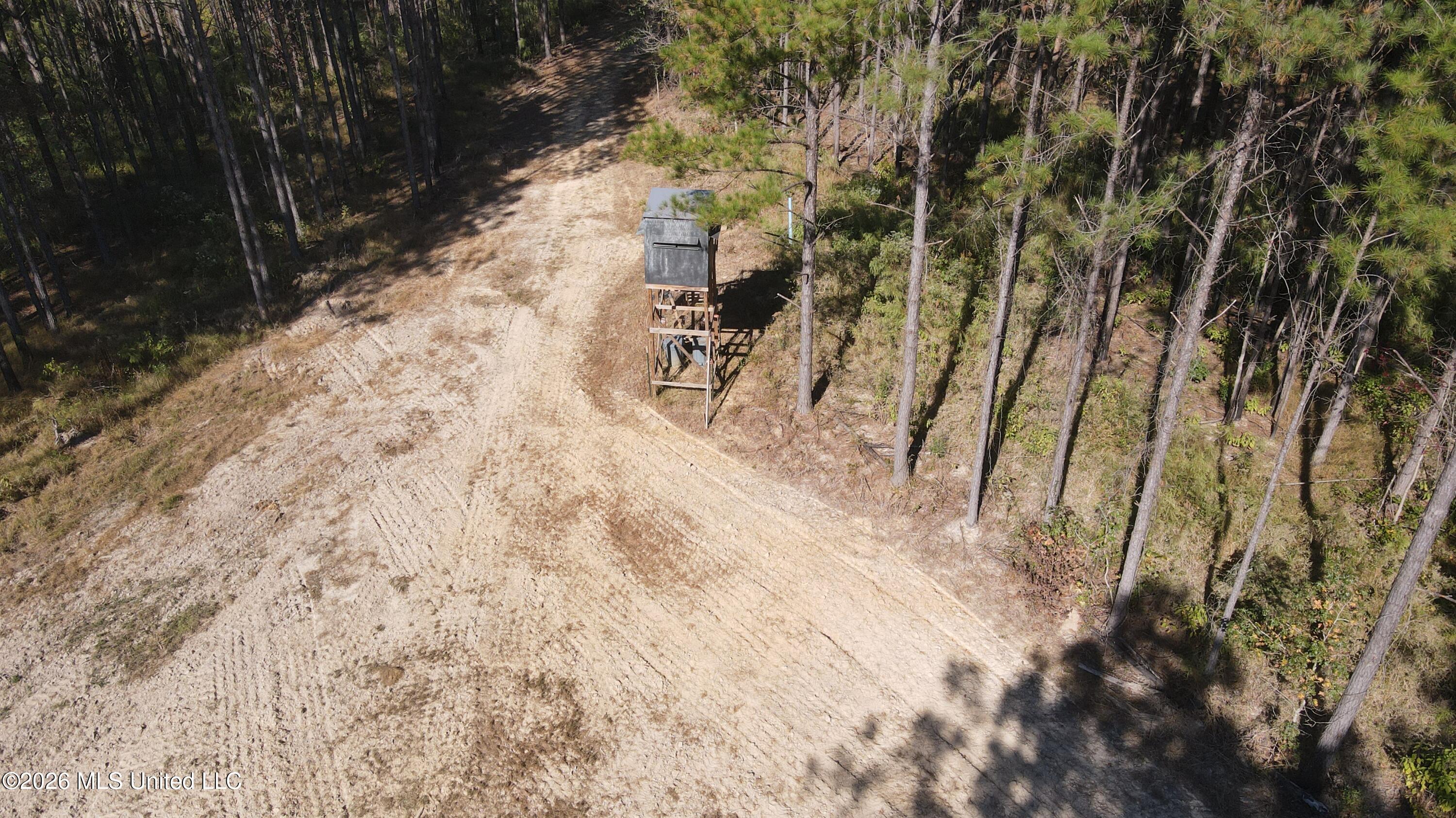 Loyd Irby Road Pelahatchie, MS 39145 - Photo 19 of 30 DJI_0217