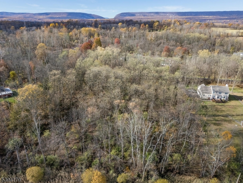 143 Vail Road Columbia, NJ 07832 - Photo 13 of 15 a view of a with large trees