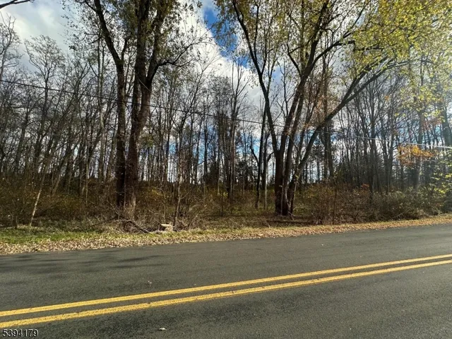 a view of a yard with large trees