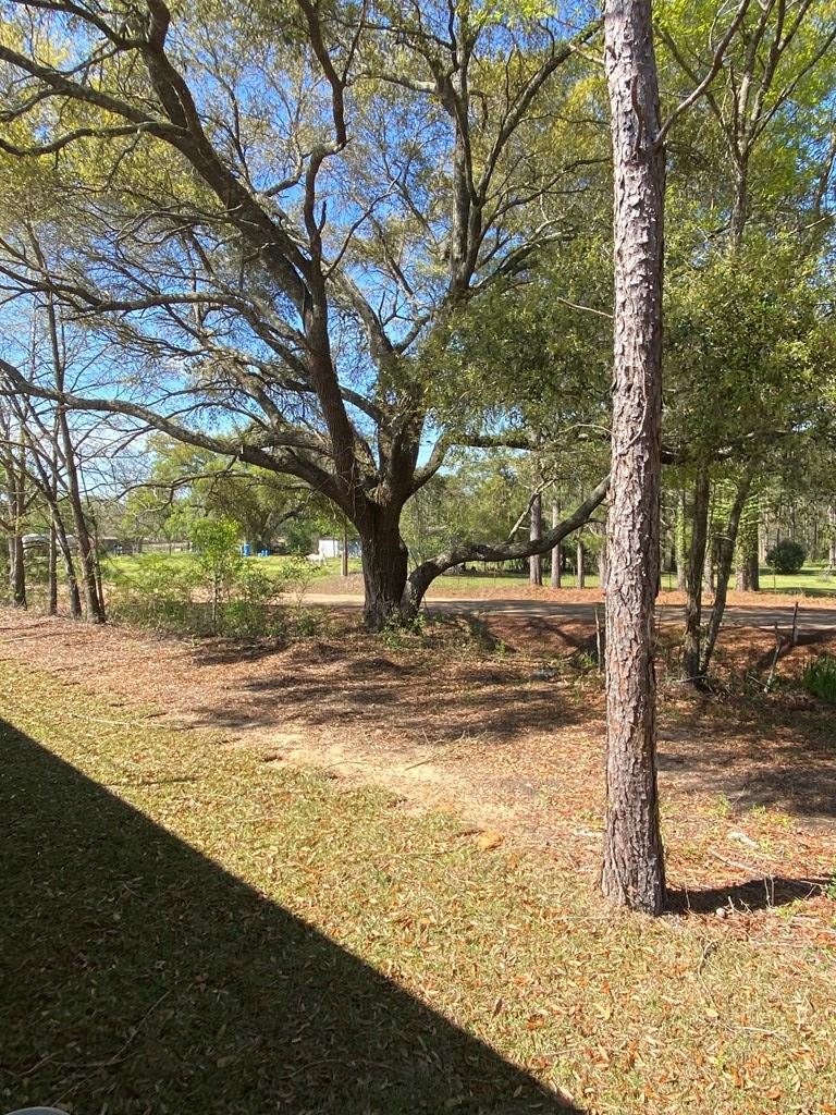 24 Edwin Reynolds Road Cottonwood, AL 36320 - Photo 25 of 27