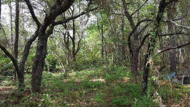 8096 Bay View Drive Foley, AL 36535 - Photo 7 of 17 Private front yard