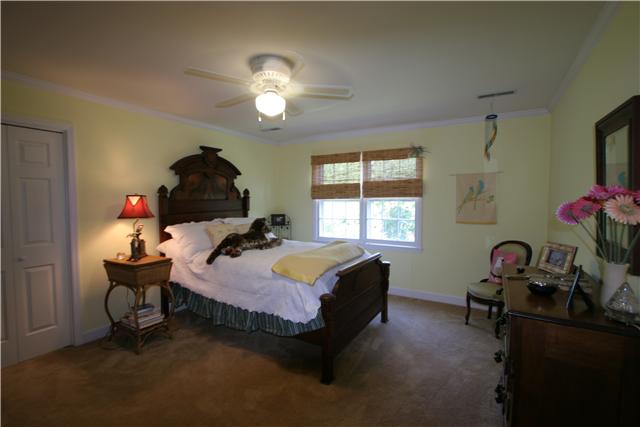 318 Stoneybrook Road Columbia, TN 38401 - Photo 13 of 20 Secondary bedroom with large closet and crown molding.