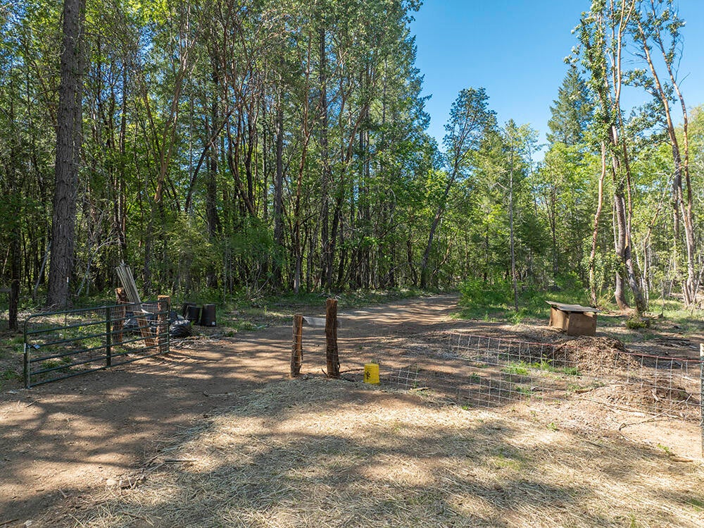 382 Garner Road Cave Junction, OR 97523 - Photo 22 of 38 DJI_0033