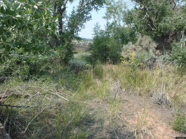 $320,000 | 7 Crystal Avenue, Dubois, WY 82513