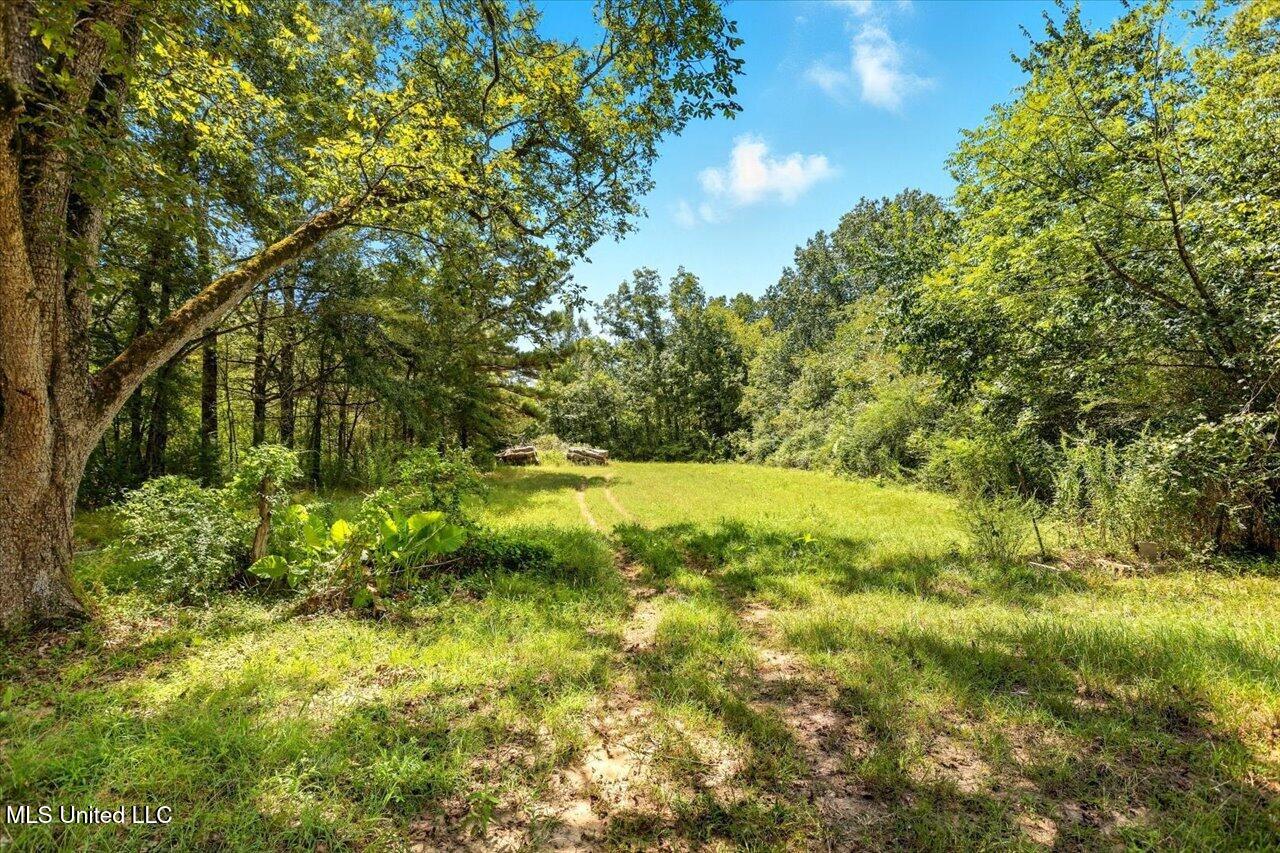 151 Pat Luckett Road Canton, MS 39046 - Photo 6 of 28 32-151 Pat Luckett Rd - Home Tours MS