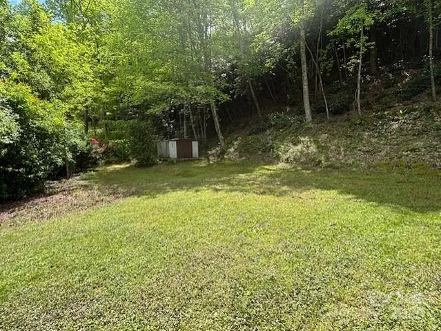 a view of a yard with a tree