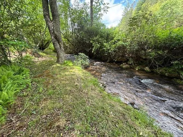 a view of a yard with plants and a tree