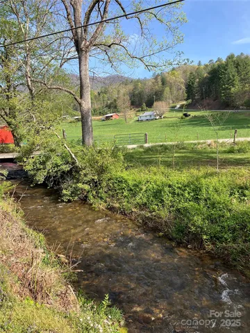 a view of a field with a tree