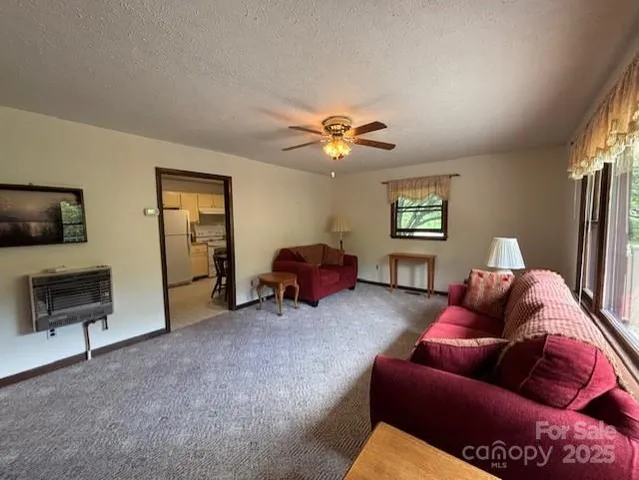 a view of a backyard with large trees