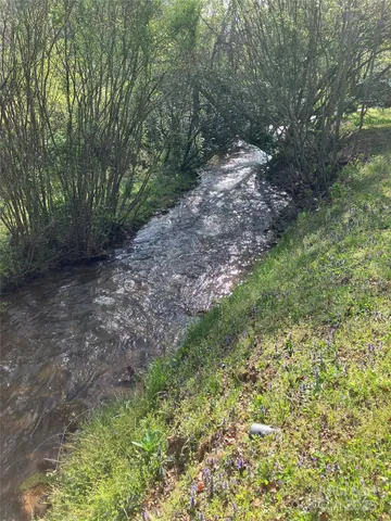 a view of a forest with trees in the background