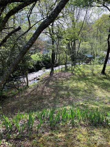 a view of a yard with plants and trees