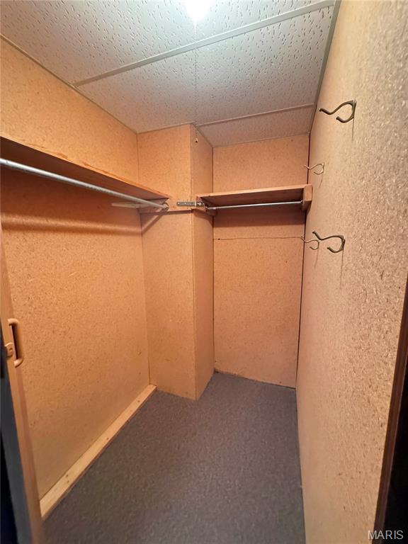 2141 Sunswept Lane High Ridge, MO 63049 - Photo 28 of 47