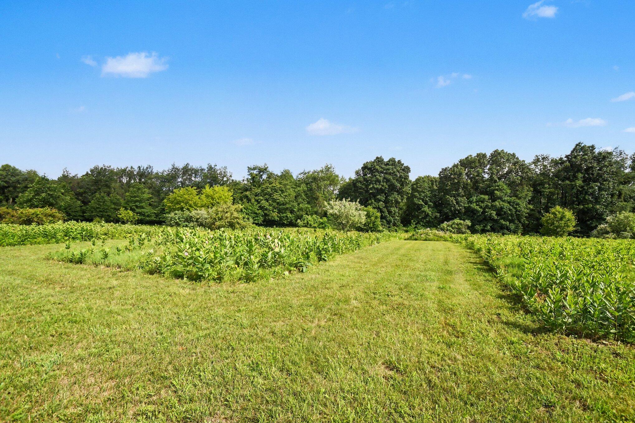 3181 Chamberlain Road Buchanan, MI 49107 - Photo 32 of 39 032_file_5242