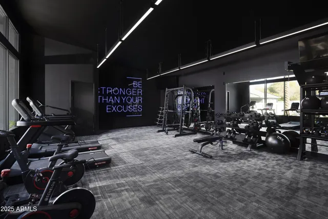 a floor to ceiling window and palm tree