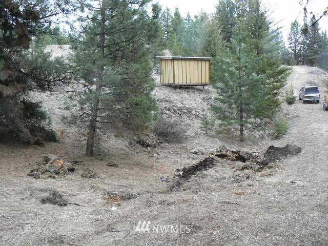 19 Miners Ridge Road Oroville, WA 98844 - Photo 3 of 6